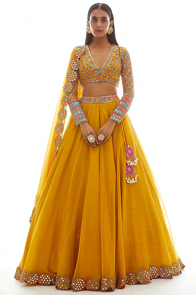 Mustard Lehenga Set - Indian Clothing in Denver, CO, Aurora, CO, Boulder, CO, Fort Collins, CO, Colorado Springs, CO, Parker, CO, Highlands Ranch, CO, Cherry Creek, CO, Centennial, CO, and Longmont, CO. Nationwide shipping USA - India Fashion X