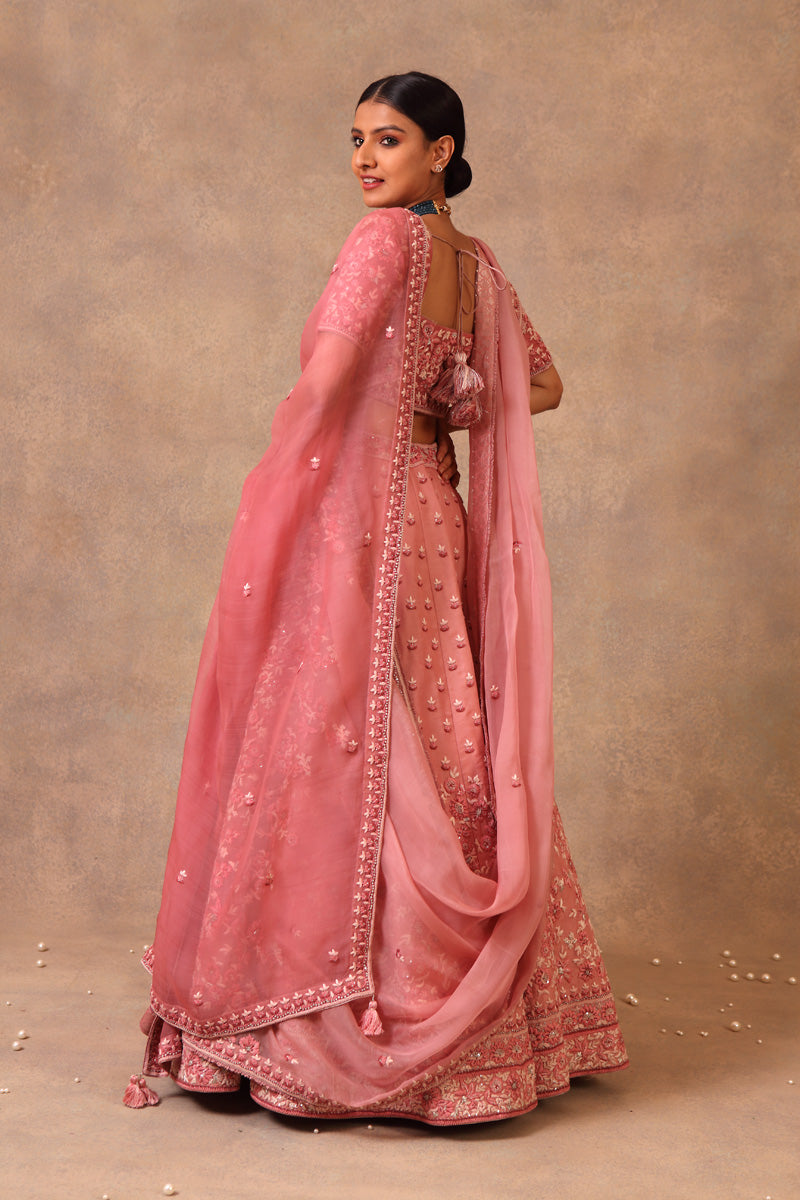 Blush pink lehenga set - Indian Clothing in Denver, CO, Aurora, CO, Boulder, CO, Fort Collins, CO, Colorado Springs, CO, Parker, CO, Highlands Ranch, CO, Cherry Creek, CO, Centennial, CO, and Longmont, CO. Nationwide shipping USA - India Fashion X