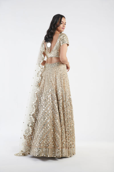 Beige Embellished Lehenga Set - Indian Clothing in Denver, CO, Aurora, CO, Boulder, CO, Fort Collins, CO, Colorado Springs, CO, Parker, CO, Highlands Ranch, CO, Cherry Creek, CO, Centennial, CO, and Longmont, CO. Nationwide shipping USA - India Fashion X