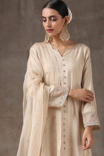 Fawn Embroidered Suit Set - Indian Clothing in Denver, CO, Aurora, CO, Boulder, CO, Fort Collins, CO, Colorado Springs, CO, Parker, CO, Highlands Ranch, CO, Cherry Creek, CO, Centennial, CO, and Longmont, CO. Nationwide shipping USA - India Fashion X