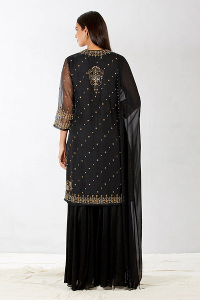 Black Embroidered Sharara Set - Indian Clothing in Denver, CO, Aurora, CO, Boulder, CO, Fort Collins, CO, Colorado Springs, CO, Parker, CO, Highlands Ranch, CO, Cherry Creek, CO, Centennial, CO, and Longmont, CO. Nationwide shipping USA - India Fashion X