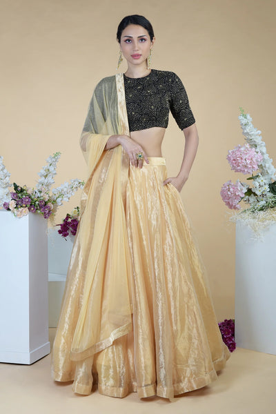 Black Tissue Lehenga Set - Indian Clothing in Denver, CO, Aurora, CO, Boulder, CO, Fort Collins, CO, Colorado Springs, CO, Parker, CO, Highlands Ranch, CO, Cherry Creek, CO, Centennial, CO, and Longmont, CO. Nationwide shipping USA - India Fashion X