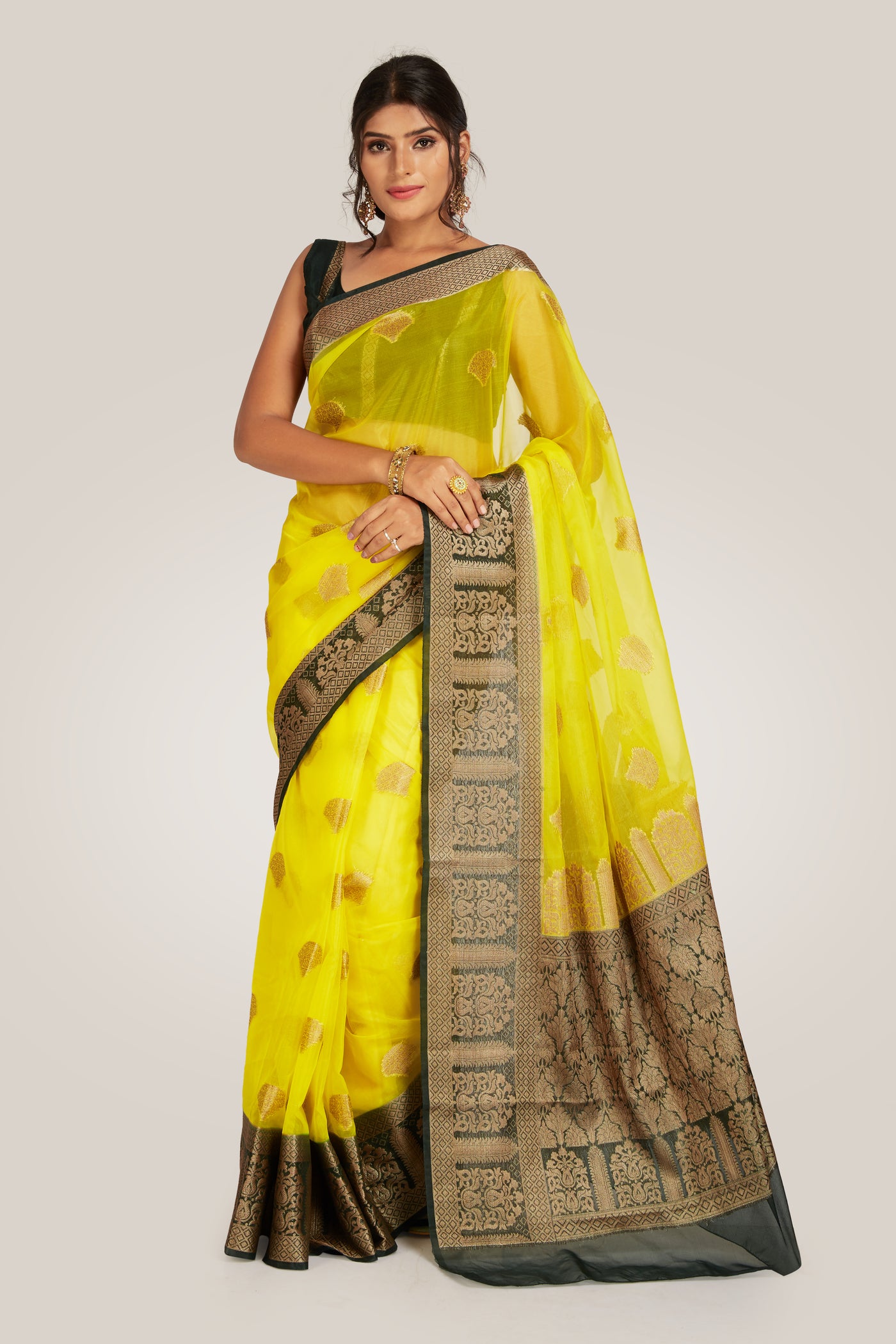 Tissue Banarasi Saree - Indian Clothing in Denver, CO, Aurora, CO, Boulder, CO, Fort Collins, CO, Colorado Springs, CO, Parker, CO, Highlands Ranch, CO, Cherry Creek, CO, Centennial, CO, and Longmont, CO. Nationwide shipping USA - India Fashion X