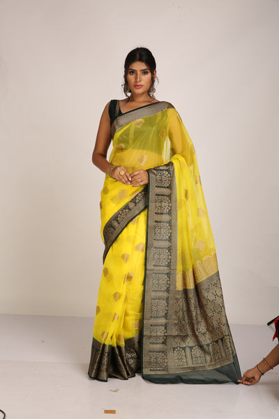 Tissue Banarasi Saree - Indian Clothing in Denver, CO, Aurora, CO, Boulder, CO, Fort Collins, CO, Colorado Springs, CO, Parker, CO, Highlands Ranch, CO, Cherry Creek, CO, Centennial, CO, and Longmont, CO. Nationwide shipping USA - India Fashion X