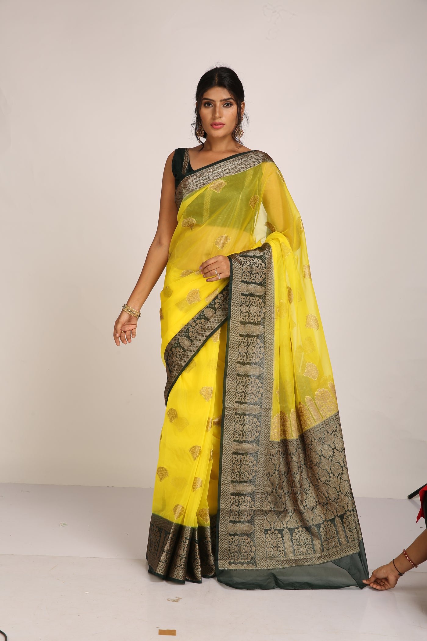 Tissue Banarasi Saree - Indian Clothing in Denver, CO, Aurora, CO, Boulder, CO, Fort Collins, CO, Colorado Springs, CO, Parker, CO, Highlands Ranch, CO, Cherry Creek, CO, Centennial, CO, and Longmont, CO. Nationwide shipping USA - India Fashion X