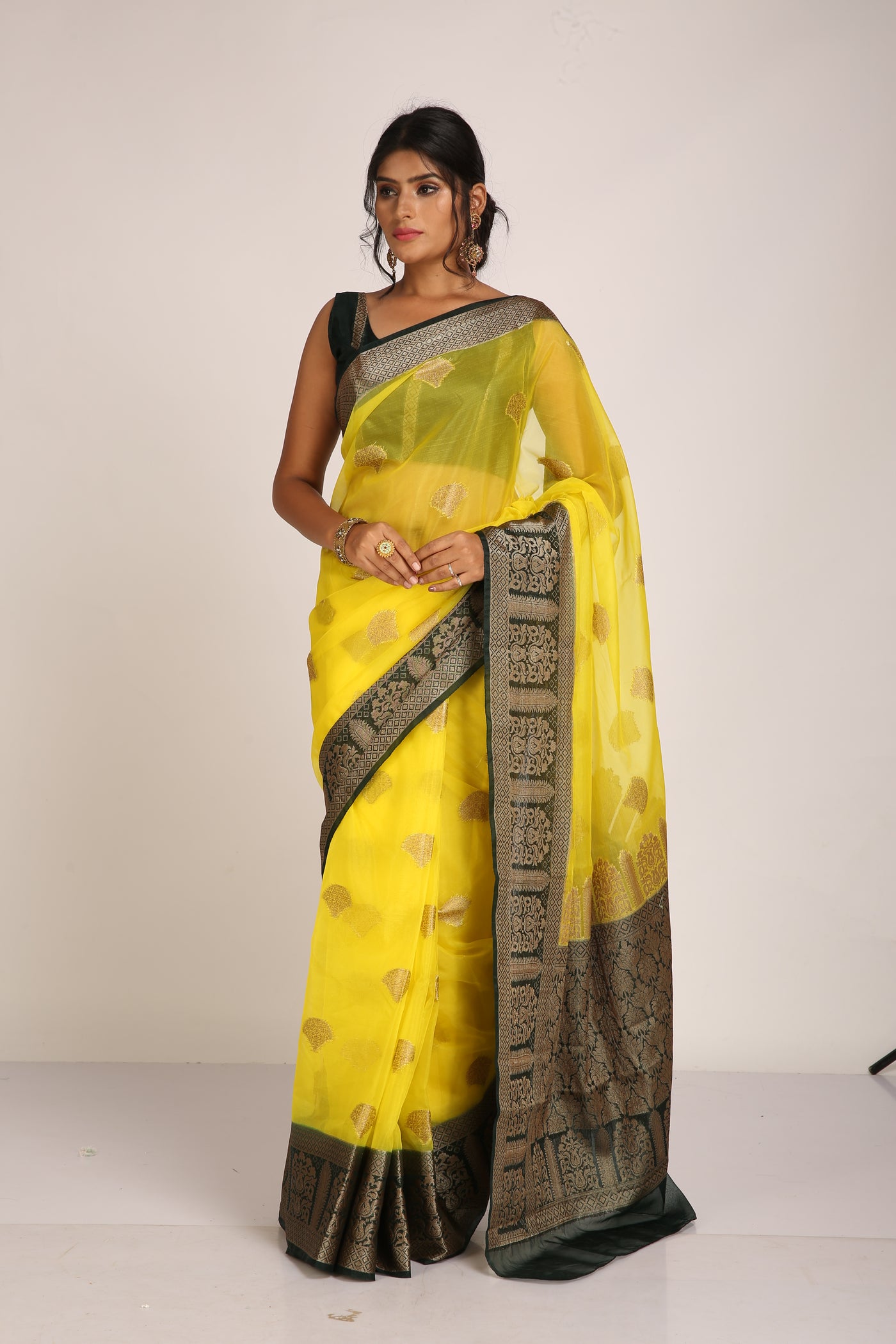 Tissue Banarasi Saree - Indian Clothing in Denver, CO, Aurora, CO, Boulder, CO, Fort Collins, CO, Colorado Springs, CO, Parker, CO, Highlands Ranch, CO, Cherry Creek, CO, Centennial, CO, and Longmont, CO. Nationwide shipping USA - India Fashion X