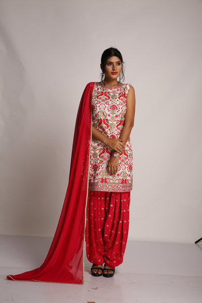 Punjabi Salwar Kameez in Red - Indian Clothing in Denver, CO, Aurora, CO, Boulder, CO, Fort Collins, CO, Colorado Springs, CO, Parker, CO, Highlands Ranch, CO, Cherry Creek, CO, Centennial, CO, and Longmont, CO. Nationwide shipping USA - India Fashion X