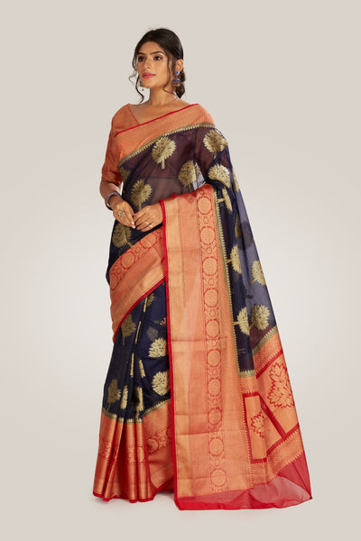 Fine Organza Tissue Saree - Indian Clothing in Denver, CO, Aurora, CO, Boulder, CO, Fort Collins, CO, Colorado Springs, CO, Parker, CO, Highlands Ranch, CO, Cherry Creek, CO, Centennial, CO, and Longmont, CO. Nationwide shipping USA - India Fashion X