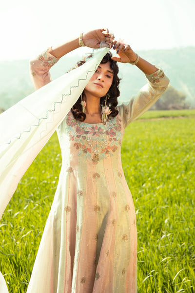 Leafy Pink Anarkali Suit Set Indian Clothing in Denver, CO, Aurora, CO, Boulder, CO, Fort Collins, CO, Colorado Springs, CO, Parker, CO, Highlands Ranch, CO, Cherry Creek, CO, Centennial, CO, and Longmont, CO. NATIONWIDE SHIPPING USA- India Fashion X