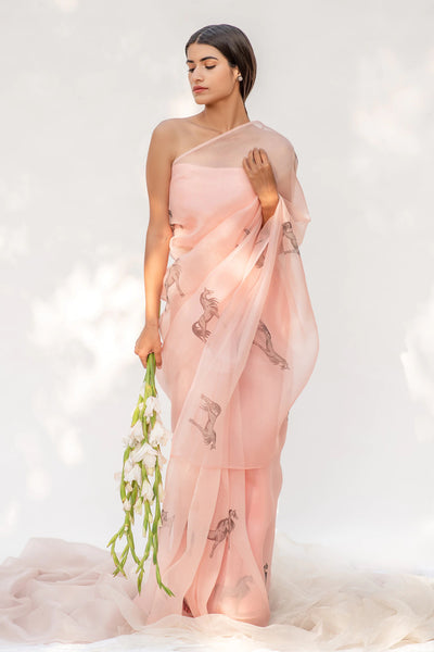 Horse Motif Silk Saree - Indian Clothing in Denver, CO, Aurora, CO, Boulder, CO, Fort Collins, CO, Colorado Springs, CO, Parker, CO, Highlands Ranch, CO, Cherry Creek, CO, Centennial, CO, and Longmont, CO. Nationwide shipping USA - India Fashion X