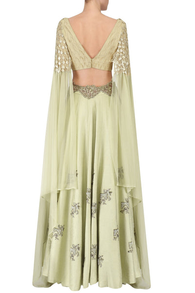 Uncaged Crop Tea Green Lehenga - Indian Clothing in Denver, CO, Aurora, CO, Boulder, CO, Fort Collins, CO, Colorado Springs, CO, Parker, CO, Highlands Ranch, CO, Cherry Creek, CO, Centennial, CO, and Longmont, CO. Nationwide shipping USA - India Fashion X