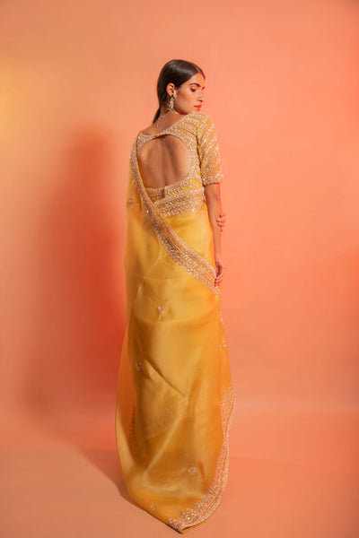 Elise saree Indian Clothing in Denver, CO, Aurora, CO, Boulder, CO, Fort Collins, CO, Colorado Springs, CO, Parker, CO, Highlands Ranch, CO, Cherry Creek, CO, Centennial, CO, and Longmont, CO. NATIONWIDE SHIPPING USA- India Fashion X