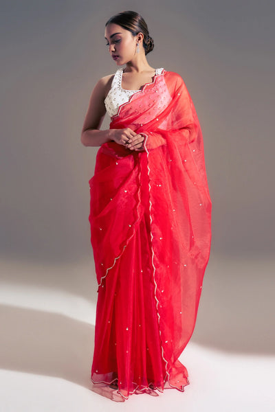 Red Crepe Organza Saree - Indian Clothing in Denver, CO, Aurora, CO, Boulder, CO, Fort Collins, CO, Colorado Springs, CO, Parker, CO, Highlands Ranch, CO, Cherry Creek, CO, Centennial, CO, and Longmont, CO. Nationwide shipping USA - India Fashion X